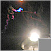 photo by Sheau-wha Mou-Keefe, 2004